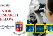 NFSU Gandhinagar Junior Research Fellow Vacancy- MSc, MTech Biotech Apply Now! NFSU Biotech JRF Job Opening - MSc Apply Now!