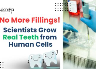 Scientists Grow Real Teeth from Human Cells - No More Fillings
