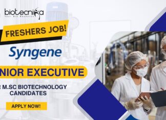 Freshers Job at Syngene for M.Sc Biotechnology - Apply Online!