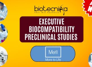 Executive Biocompatibility Preclinical Studies