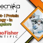 Scientist-I Protein Biology - at Thermo Fisher