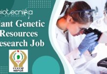 Plant Genetic Resources Research Job at ICAR-NBPGR, New Delhi – Apply Now! Plant Genetic Resources Research Job at ICAR-NBPGR, New Delhi - MSc. Agricultural Science Candidates Apply Now!