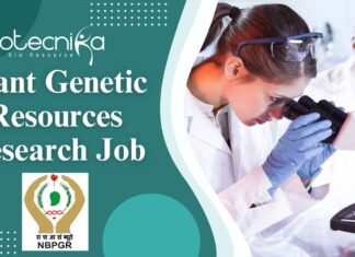 Plant Genetic Resources Research Job at ICAR-NBPGR, New Delhi - MSc. Agricultural Science Candidates Apply Now!