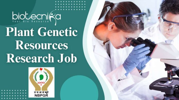 Plant Genetic Resources Research Job at ICAR-NBPGR, New Delhi - MSc. Agricultural Science Candidates Apply Now!