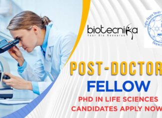 Post-Doctoral Fellow Job At NISER Bhubaneswar – Apply Now