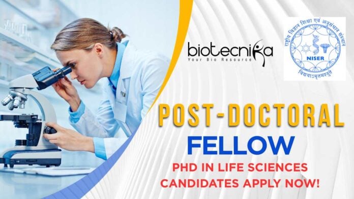 Post-Doctoral Fellow Job At NISER Bhubaneswar – Apply Now