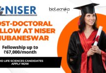 Post-Doctoral Fellow at NISER Bhubaneswar – PhD Life Sciences Candidates Apply Now, Fellowship up to ₹67,000/month Post-Doctoral Fellow at NISER Bhubaneswar - PhD Life Sciences Candidates Apply Now, Fellowship up to ₹67,000month