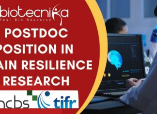 Postdoc Position at NCBS-TIFR | Biological Sciences Apply Now! Postdoc Position in Brain Resilience Research NCBS-TIFR Hiring Postdoc in Bangalore Apply Now!!