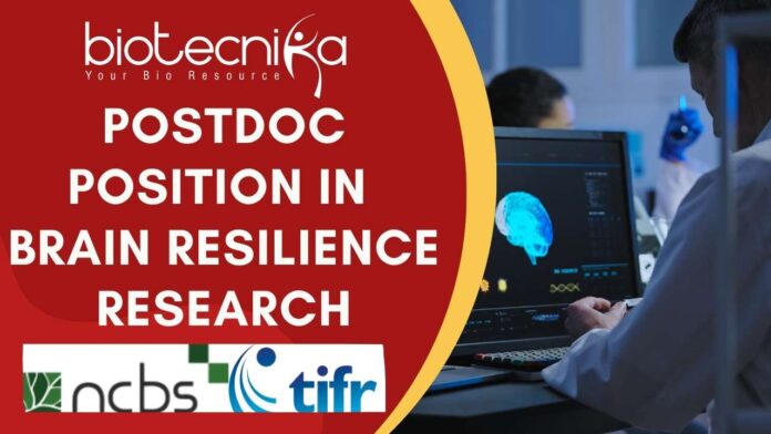 Postdoc Position in Brain Resilience Research NCBS-TIFR Hiring Postdoc in Bangalore Apply Now!!