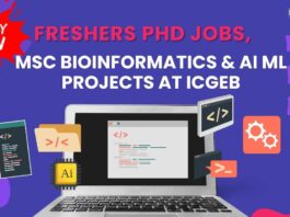 Freshers PhD Job