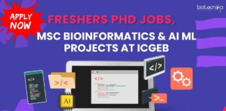 Freshers PhD Job