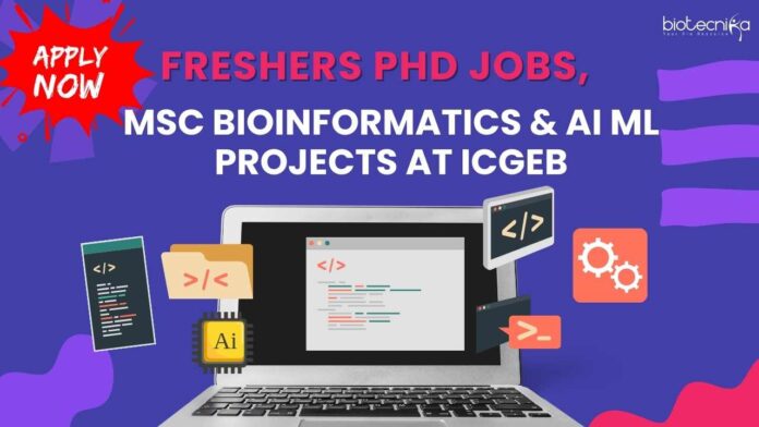 Freshers PhD Job