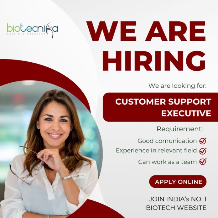 Customer Service Executive Job