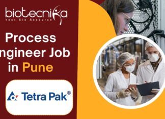 Process Engineer Job - at Tetra Pak
