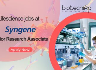 Syngene Senior Research Associate Job – Apply Now! Syngene Immunology Research Jobs - Apply Online