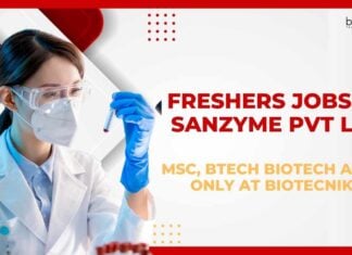 Freshers Jobs at Sanzyme Pvt Ltd