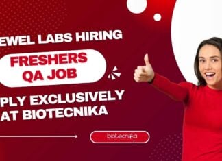 Freshers QA Job at Prewel Labs