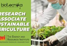 TERI Plant Pathology Jobs – Apply For Research Associate Post Research Associate – Sustainable Agriculture | TERI Job Opening 2025