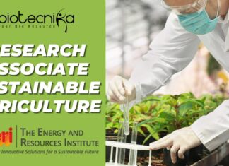Research Associate – Sustainable Agriculture | TERI Job Opening 2025