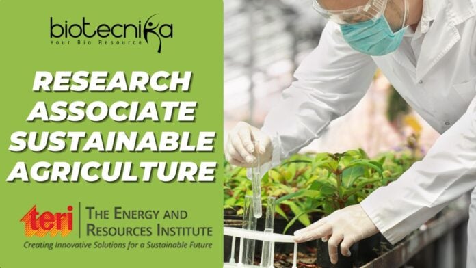 Research Associate – Sustainable Agriculture | TERI Job Opening 2025