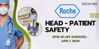 Roche - Head - Patient Safety (PhD in Life Sciences) - Apply Now