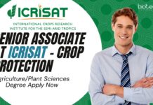Senior Associate at ICRISAT – Crop Protection, Agriculture/Plant Sciences Degree Apply Now Senior Associate at ICRISAT - Crop Protection, AgriculturePlant Sciences Degree Apply Now