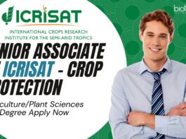 Senior Associate at ICRISAT - Crop Protection, AgriculturePlant Sciences Degree Apply Now