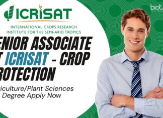 Senior Associate at ICRISAT - Crop Protection, AgriculturePlant Sciences Degree Apply Now
