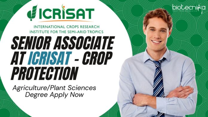 Senior Associate at ICRISAT - Crop Protection, AgriculturePlant Sciences Degree Apply Now