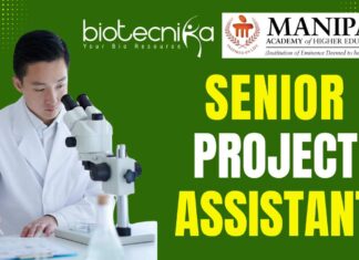 Senior Project Assistant at Manipal Academy of Higher Education For MSc Life Sciences Senior Project Assistant at Manipal Academy of Higher Education ICMR Project Bengaluru