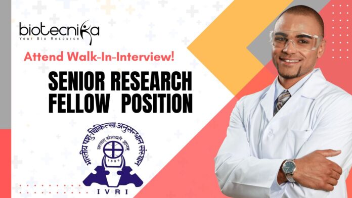 Senior Research Fellow (SRF) Position at IVRI- Attend Walk-In-Interview!