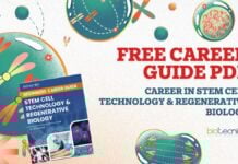 Career in Stem Cell & Regenerative Biology