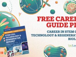 Career in Stem Cell & Regenerative Biology