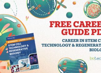 Career in Stem Cell & Regenerative Biology