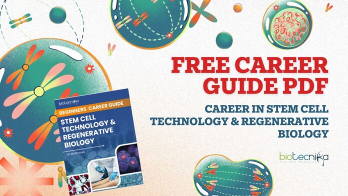 Career in Stem Cell & Regenerative Biology