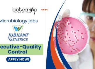 Jubilant Microbiology jobs