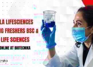 Freshers BSc Life Science Jobs