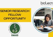 Senior Research Fellow Opportunity