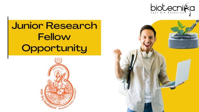 Junior Research Fellow Opportunity