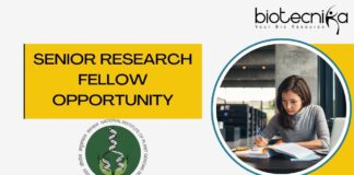 Senior Research Fellow Opportunity