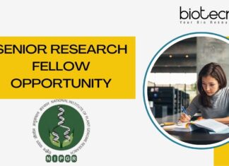 Senior Research Fellow Opportunity
