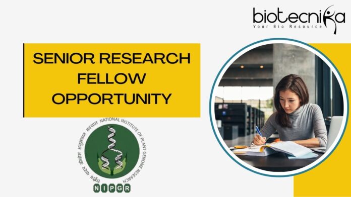 Senior Research Fellow Opportunity