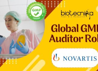 Global GMP Auditor Role - at Novartis