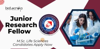 ACTREC JRF Vacancy 2025: M.Sc. Life Sciences Candidates Apply Now for Cancer Immunotherapy Role