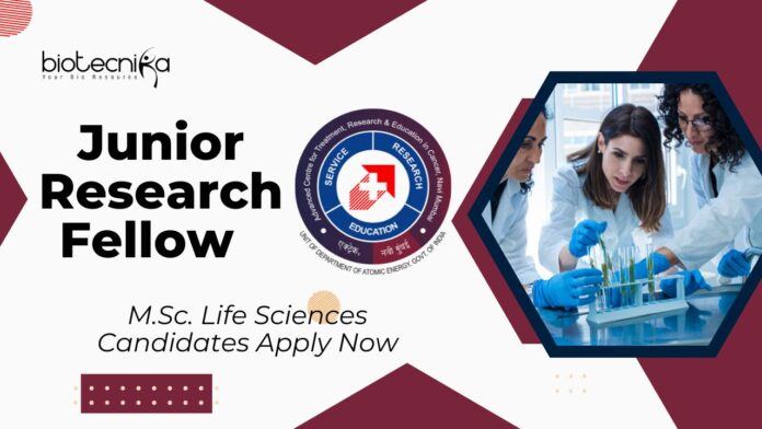 ACTREC JRF Vacancy 2025: M.Sc. Life Sciences Candidates Apply Now for Cancer Immunotherapy Role