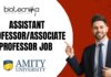 Assistant Professor/Associate Professor Job
