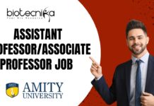 Join as Assistant Professor/Associate Professor at Amity University, Apply Now! Assistant Professor/Associate Professor Job