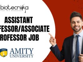 Assistant Professor/Associate Professor Job