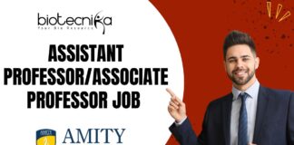 Assistant Professor/Associate Professor Job
