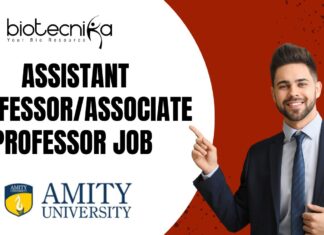 Assistant Professor/Associate Professor Job